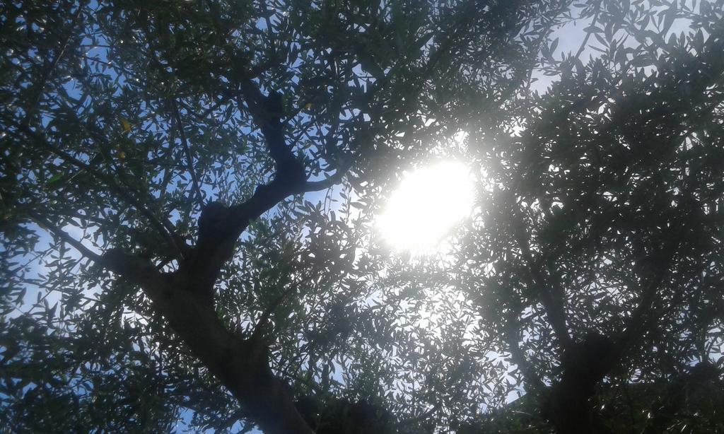 ריבה דל גארדה Casavarone מראה חיצוני תמונה